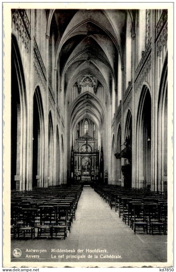 Anvers - La Nef Principale De La Cathedrale - Antwerpen