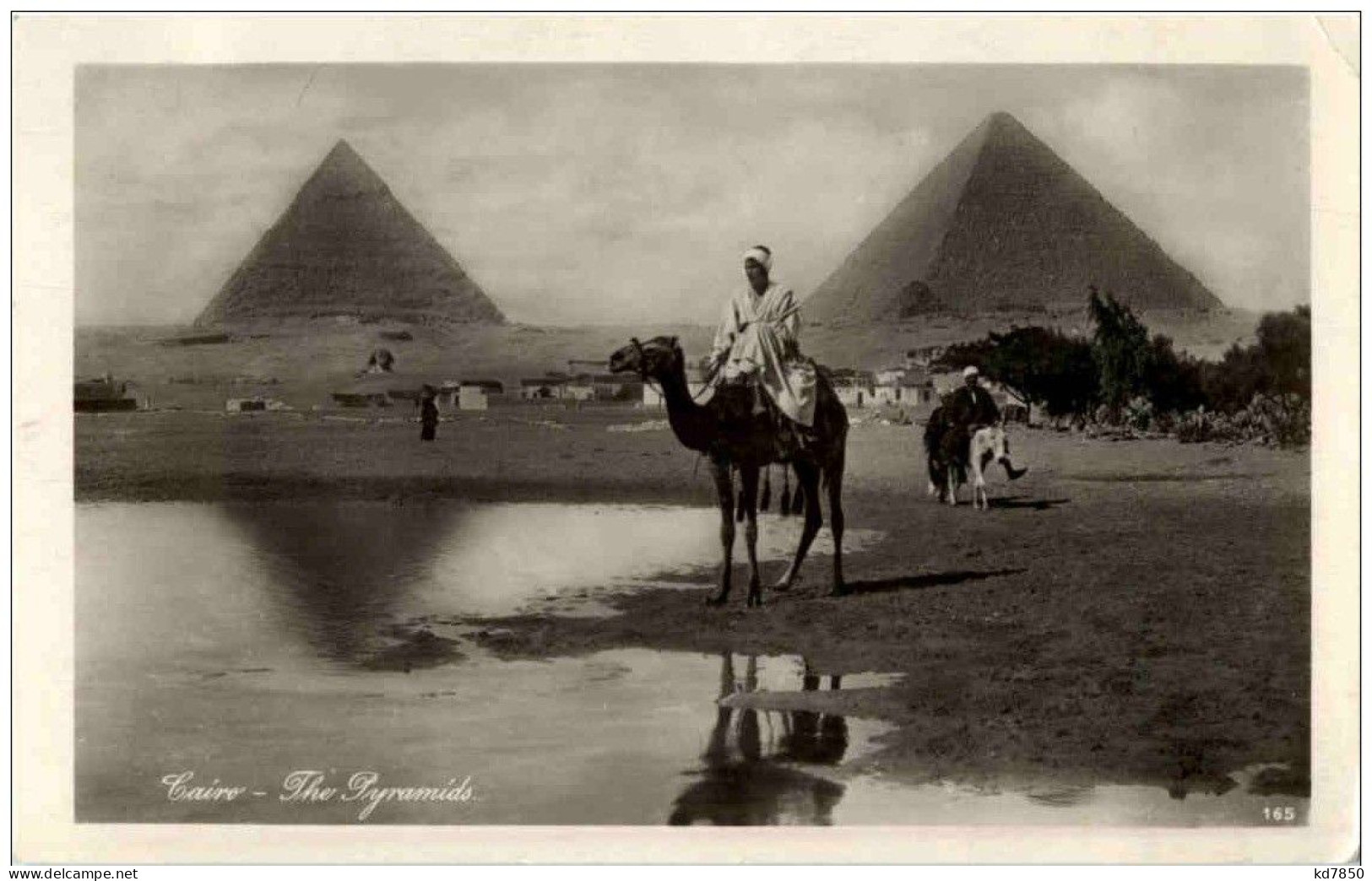 Cairo - The Pyramides - Le Caire