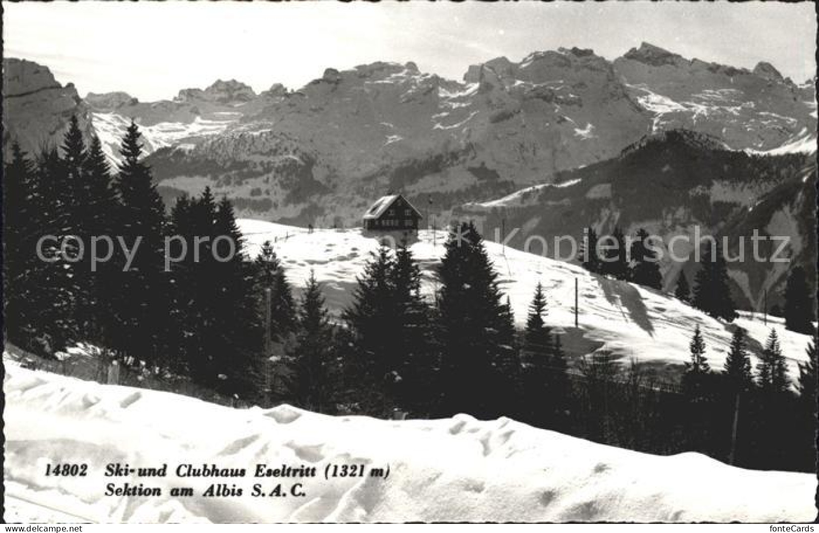 11751620 Albis Ski Und Clubhaus Eseltritt Albis - Autres & Non Classés