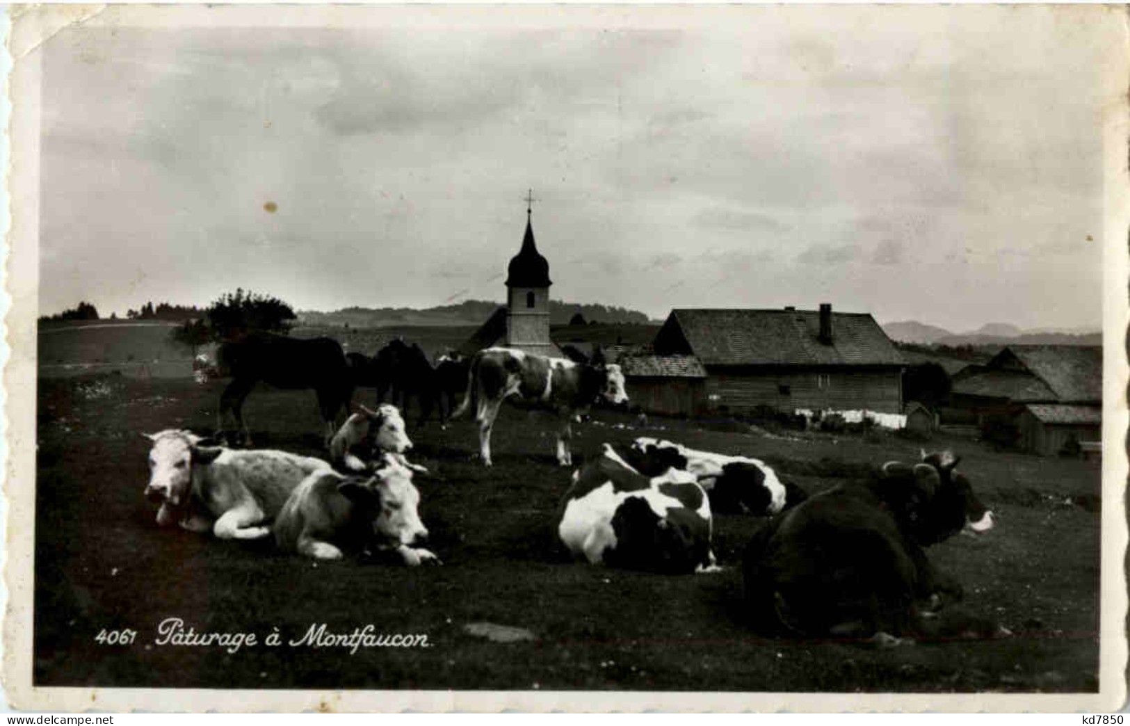 Paturage A Montfaucon - Sonstige & Ohne Zuordnung