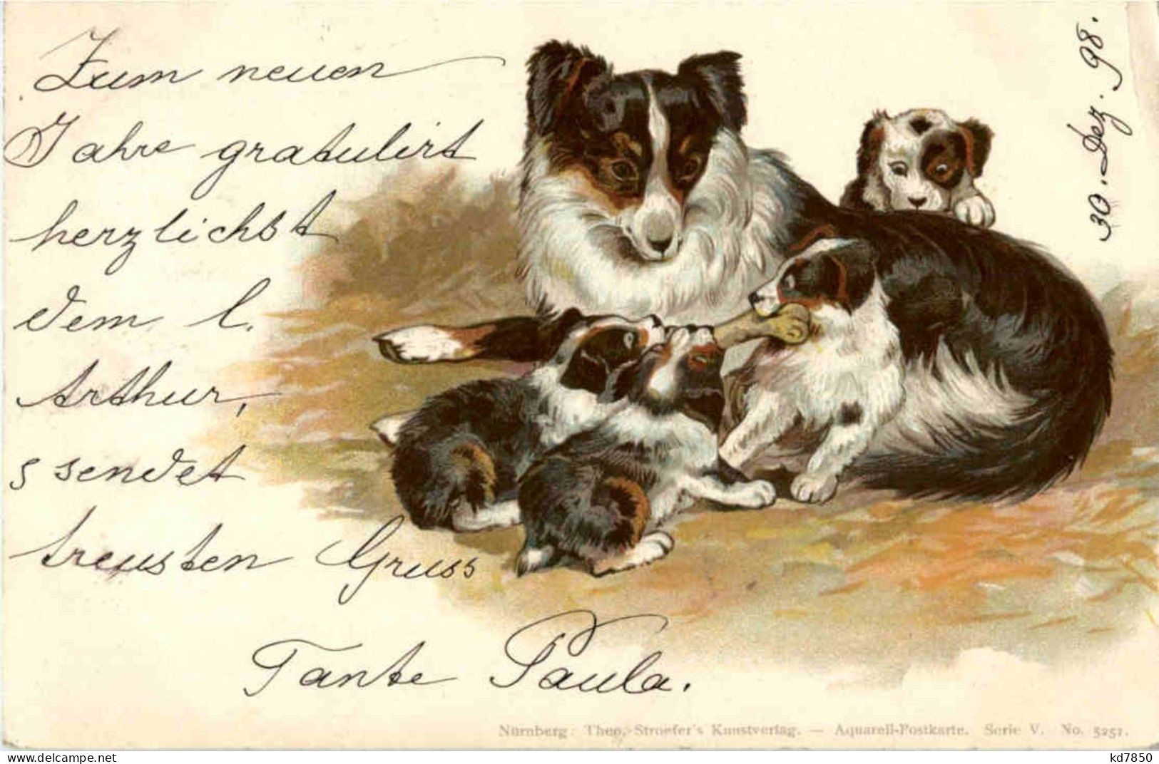 Hunde - Litho - Chiens