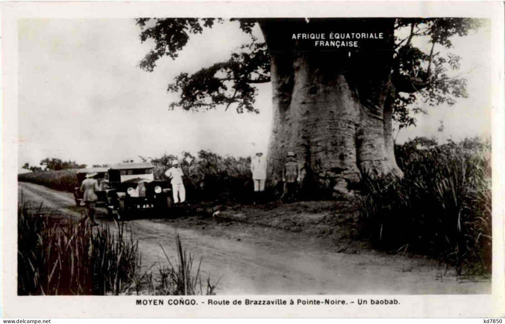 Moyen Congo Un Baobab - Car - Other & Unclassified