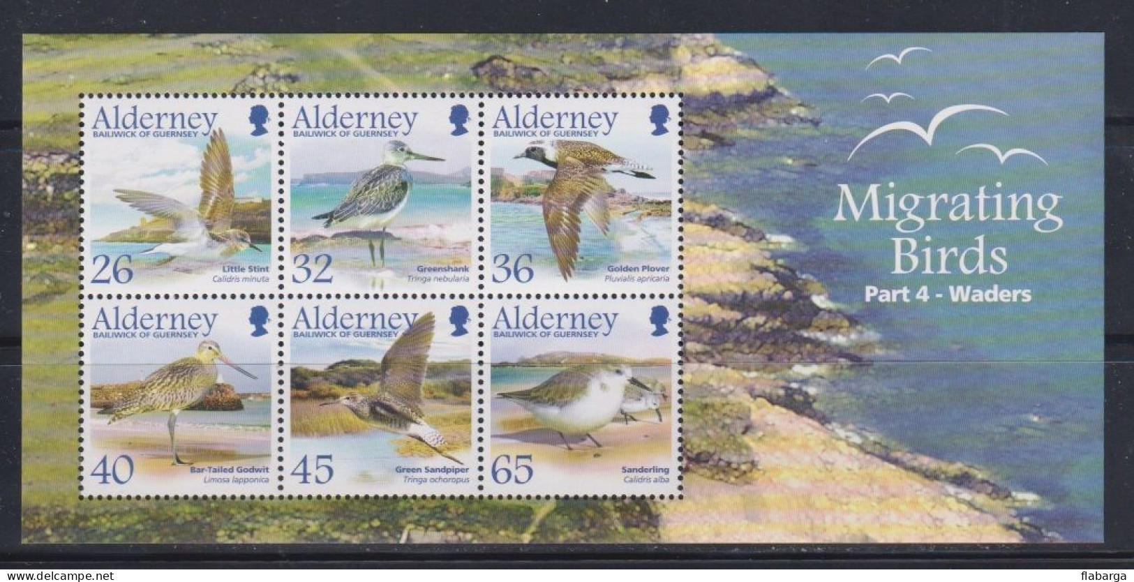 Año 2005 Yvert Hoja 16 (nº260/5) Fauna Pajaros Migratorios (IV) - Alderney