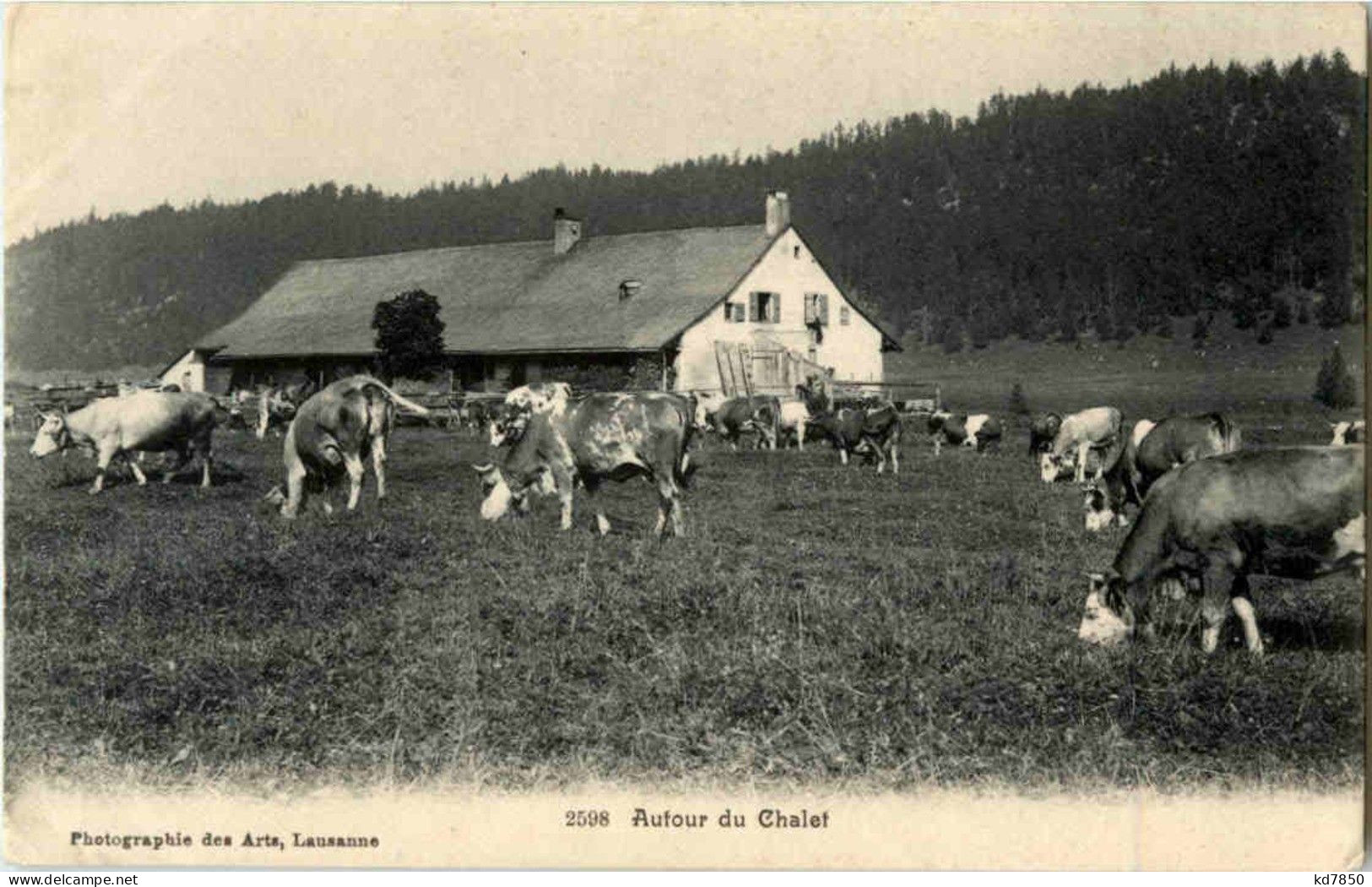 Autor Du Chalet Kühe - Autres & Non Classés