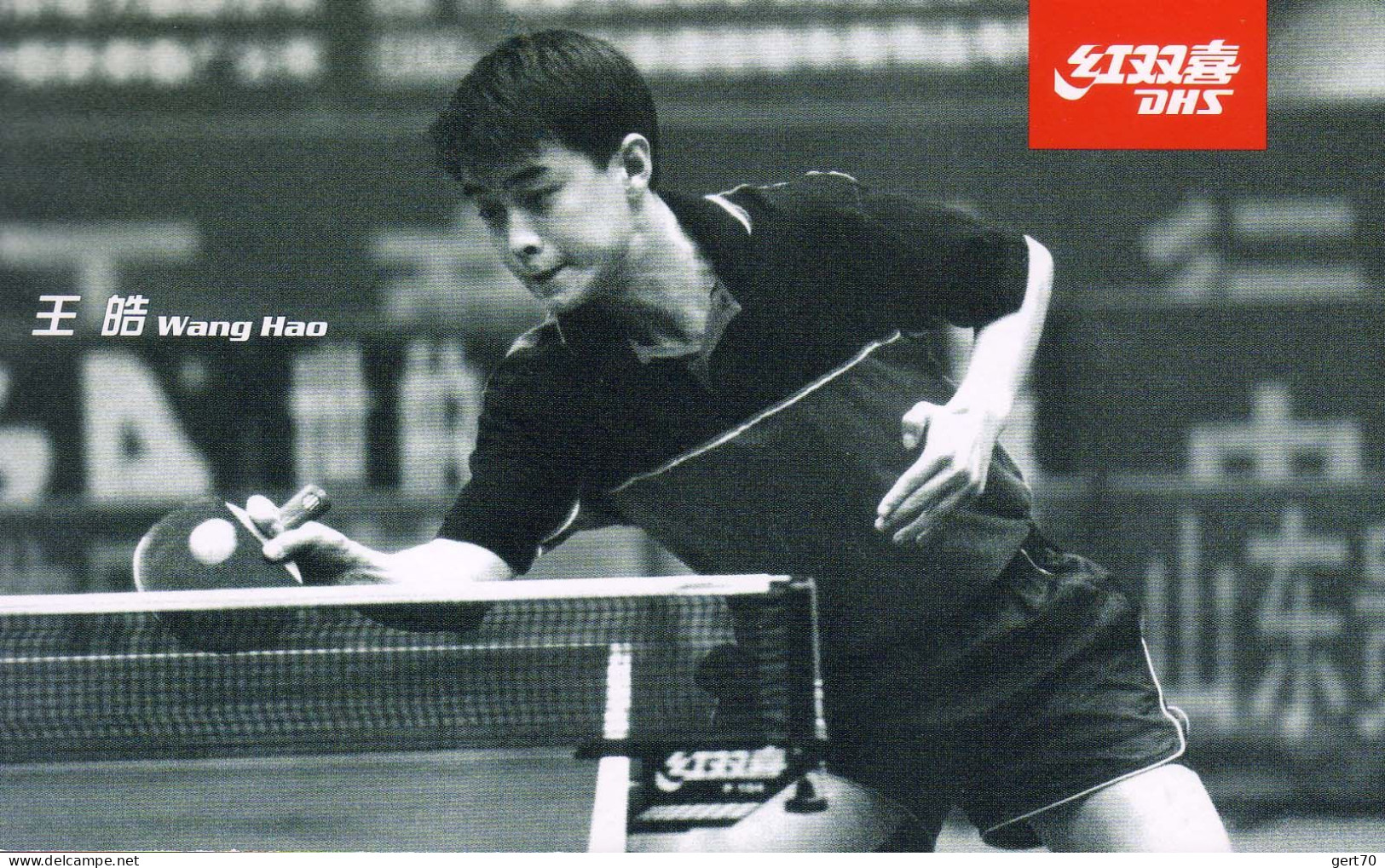 China / Chine, Wang Hao / World Table Tennis Championships / Paris - Tennis De Table