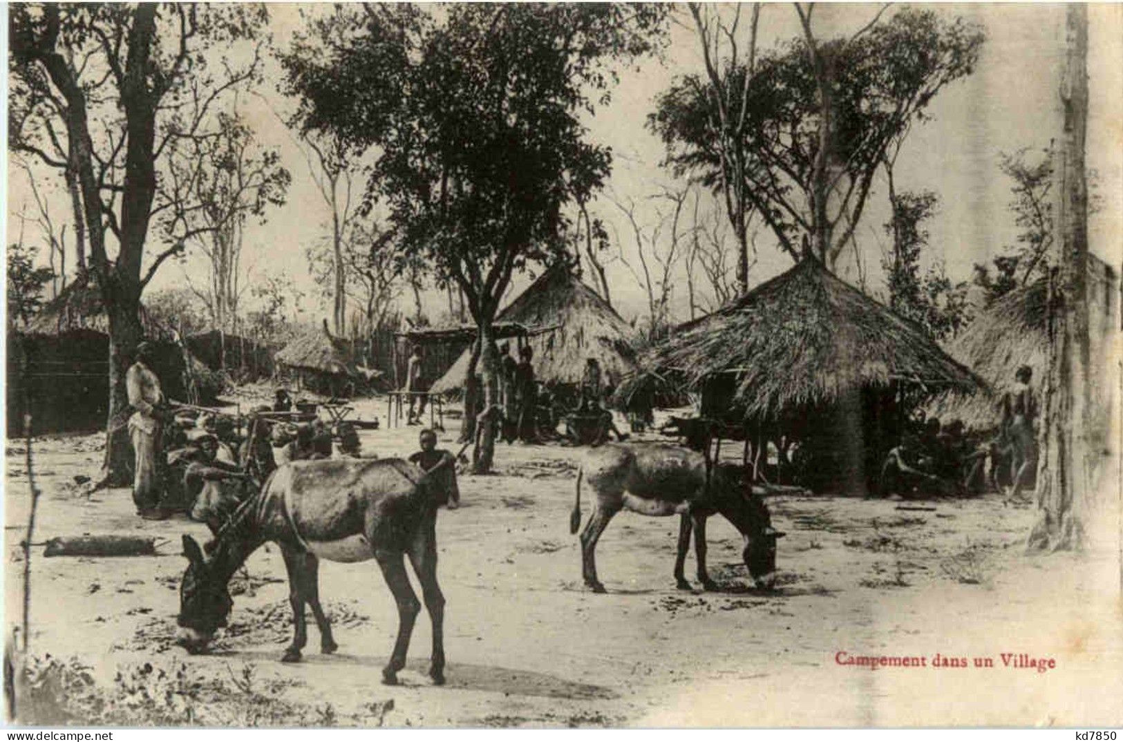 Campement Das Un Village - Donkey - Andere & Zonder Classificatie