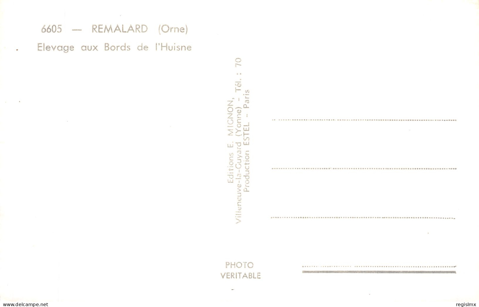 61-REMALARD-N°2131-D/0005 - Remalard