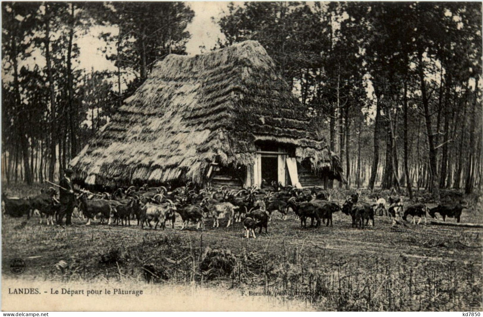 Landes - Le Depart Pour Le Paturage - Sonstige & Ohne Zuordnung