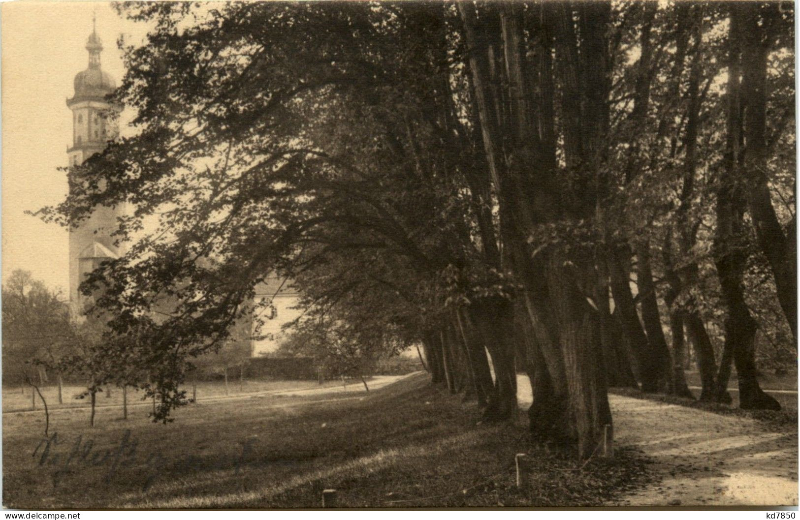 Arnstadt/Thür. - Motiv Aus Dem Schlossgarten - Arnstadt