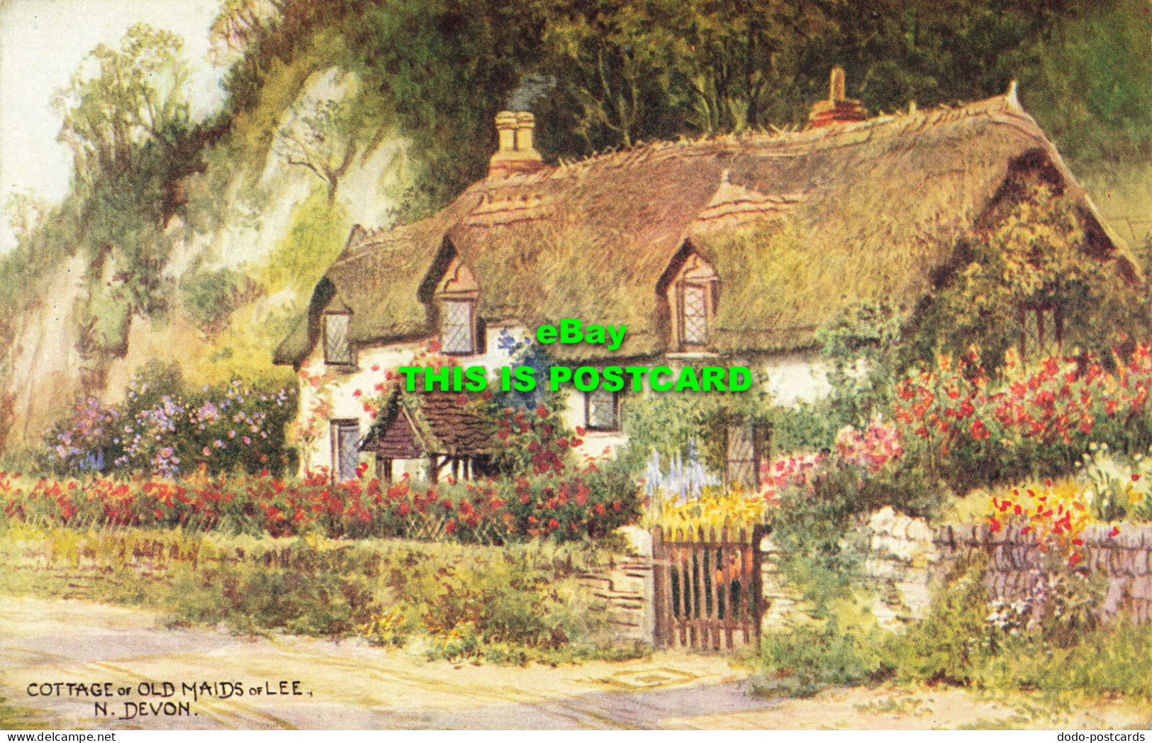 R601191 Cottage Of Old Maids Of Lee. N. Devon. Salmon - Wereld