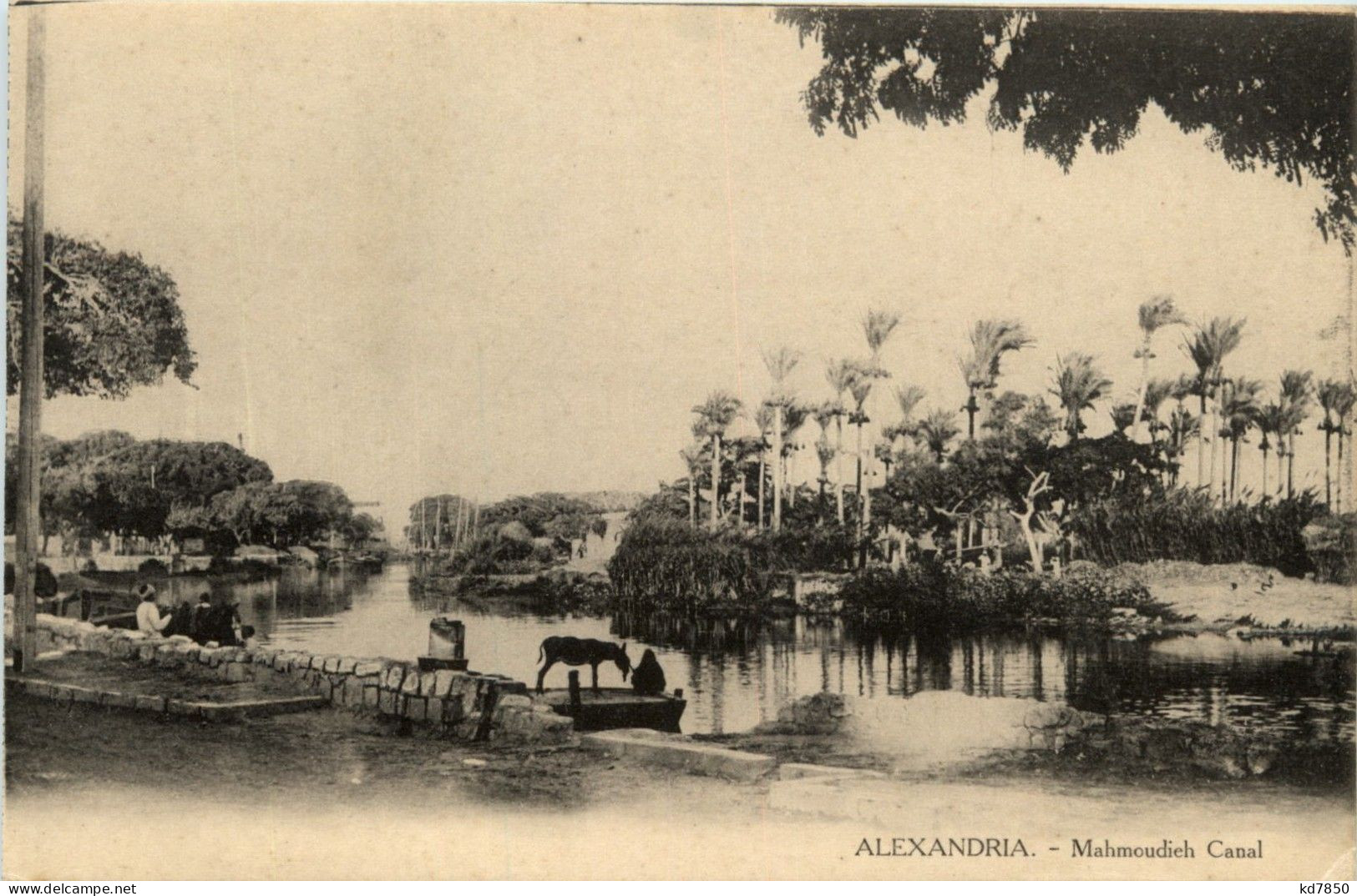 Alexandria - Mahmoudieh Canal - Alexandrie