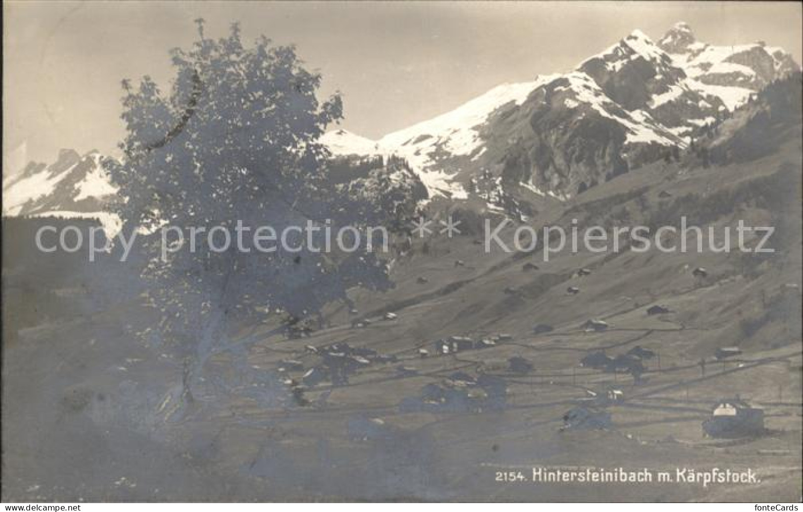 11751064 Steinibach GL Mit Kaerpfstock Glarus - Andere & Zonder Classificatie