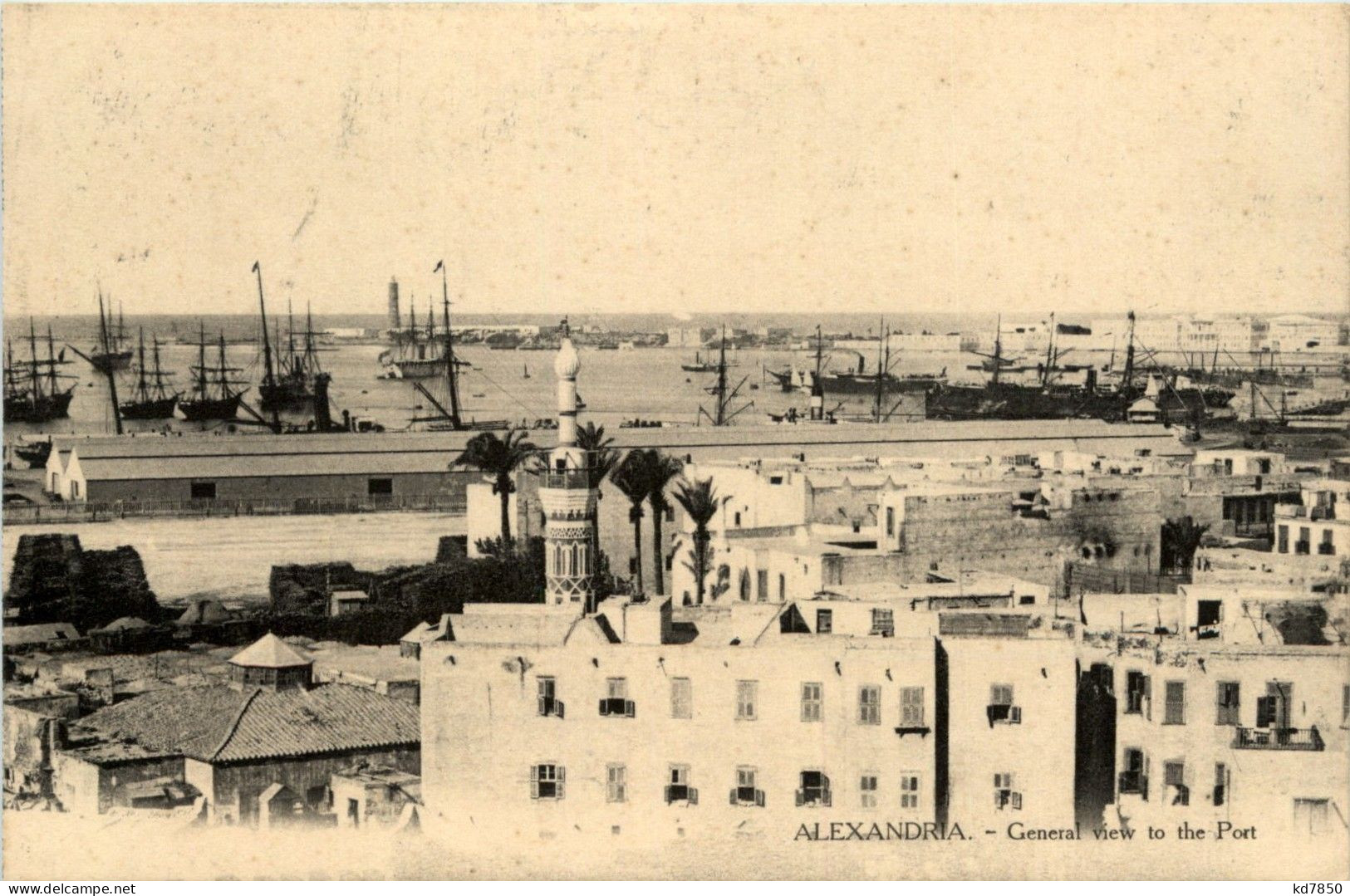 Alexandria - The Port - Alejandría