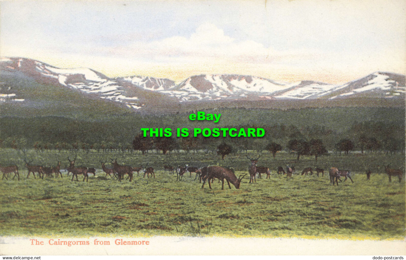 R600471 The Cairngorms From Glenmore. G. W. W - Welt