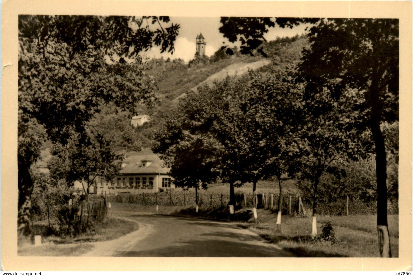 Arnstadt/Thür. - Blick Zur Alteburg - Arnstadt