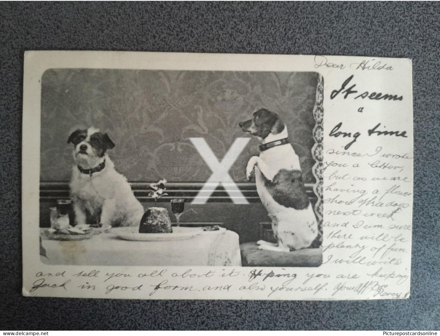 IT SEEMS A LONG TIME TWO TERRIORS OLD B/W POSTCARD 1902 DOG TUCK WRITE AWAY NO 1666 - Chiens
