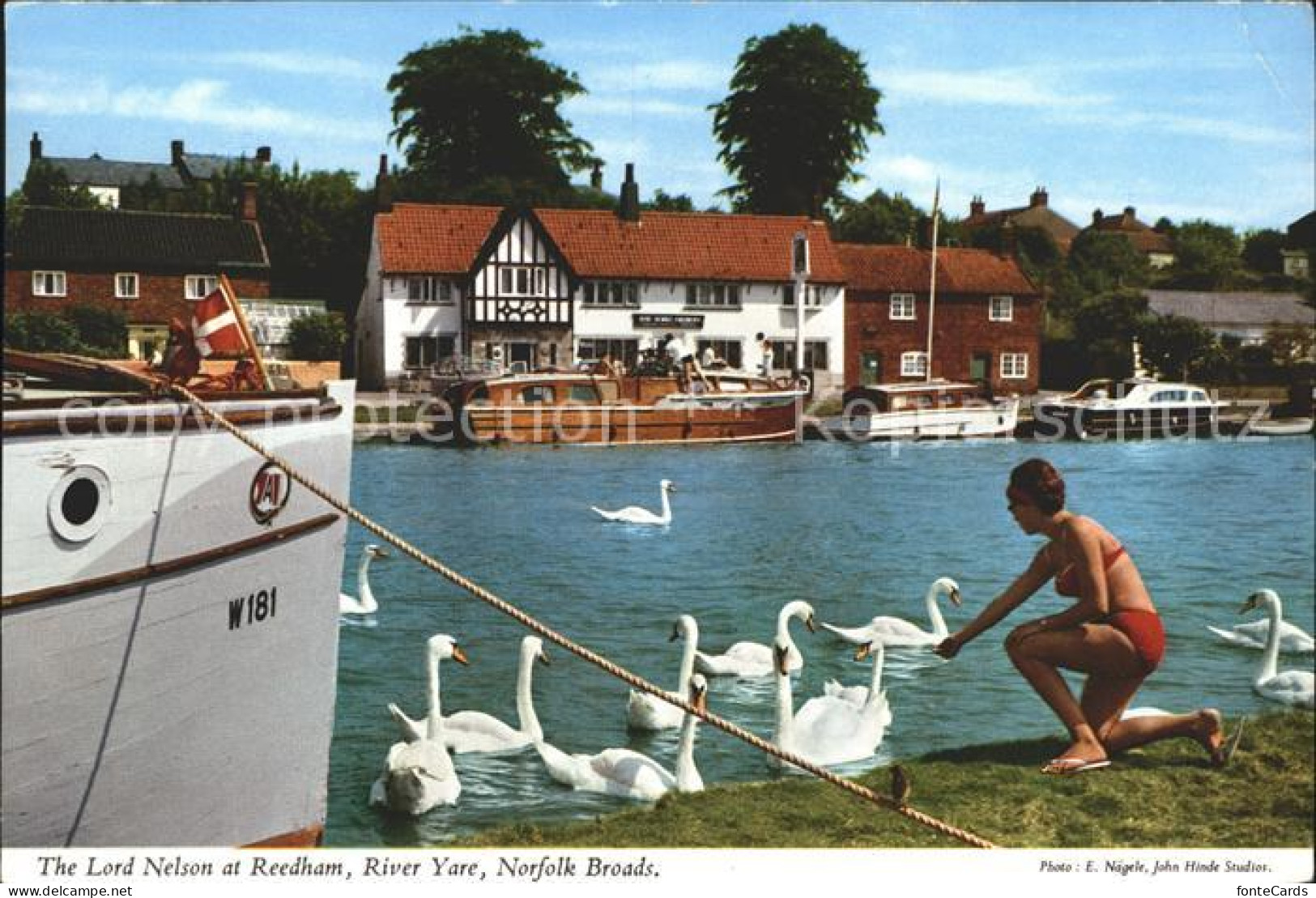 11750688 Reedham The Lord Nelson Boat Swan River Yare Norfolk Broads Norwich - Sonstige & Ohne Zuordnung