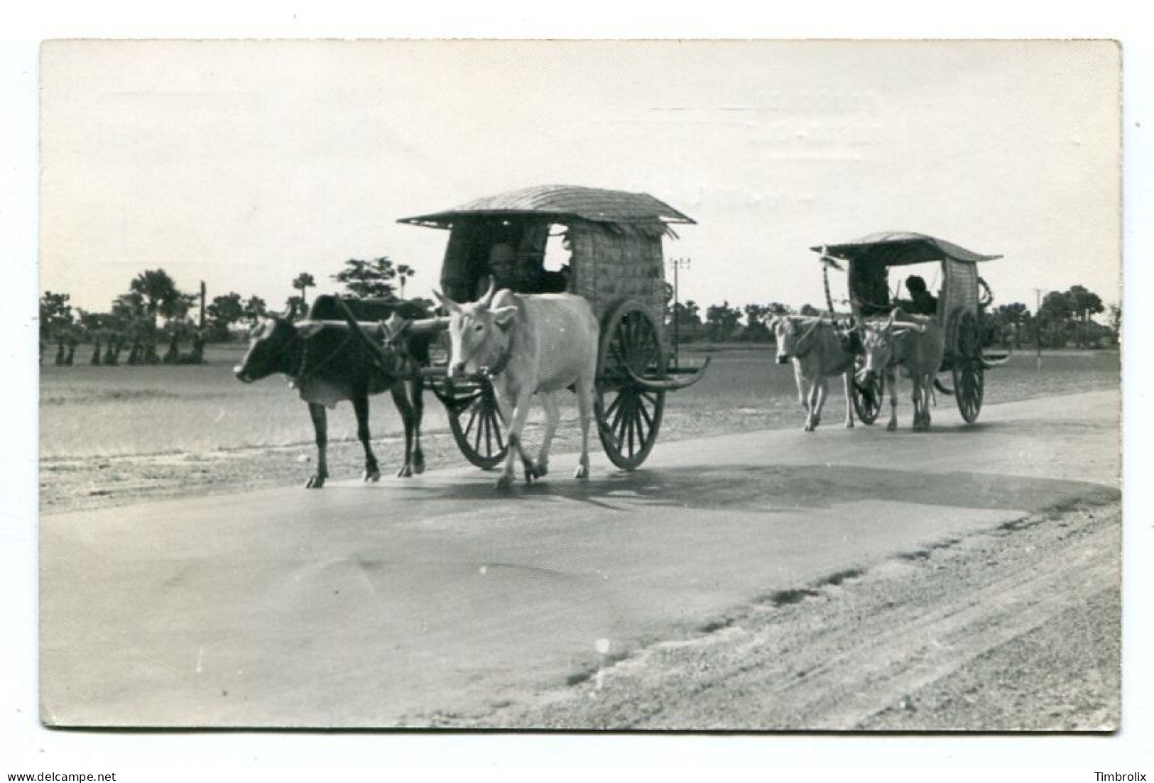 CAMBODGE - CAMBODIA - THE OX-CART - LA CHARRETTE À BŒUFS - Cambodge