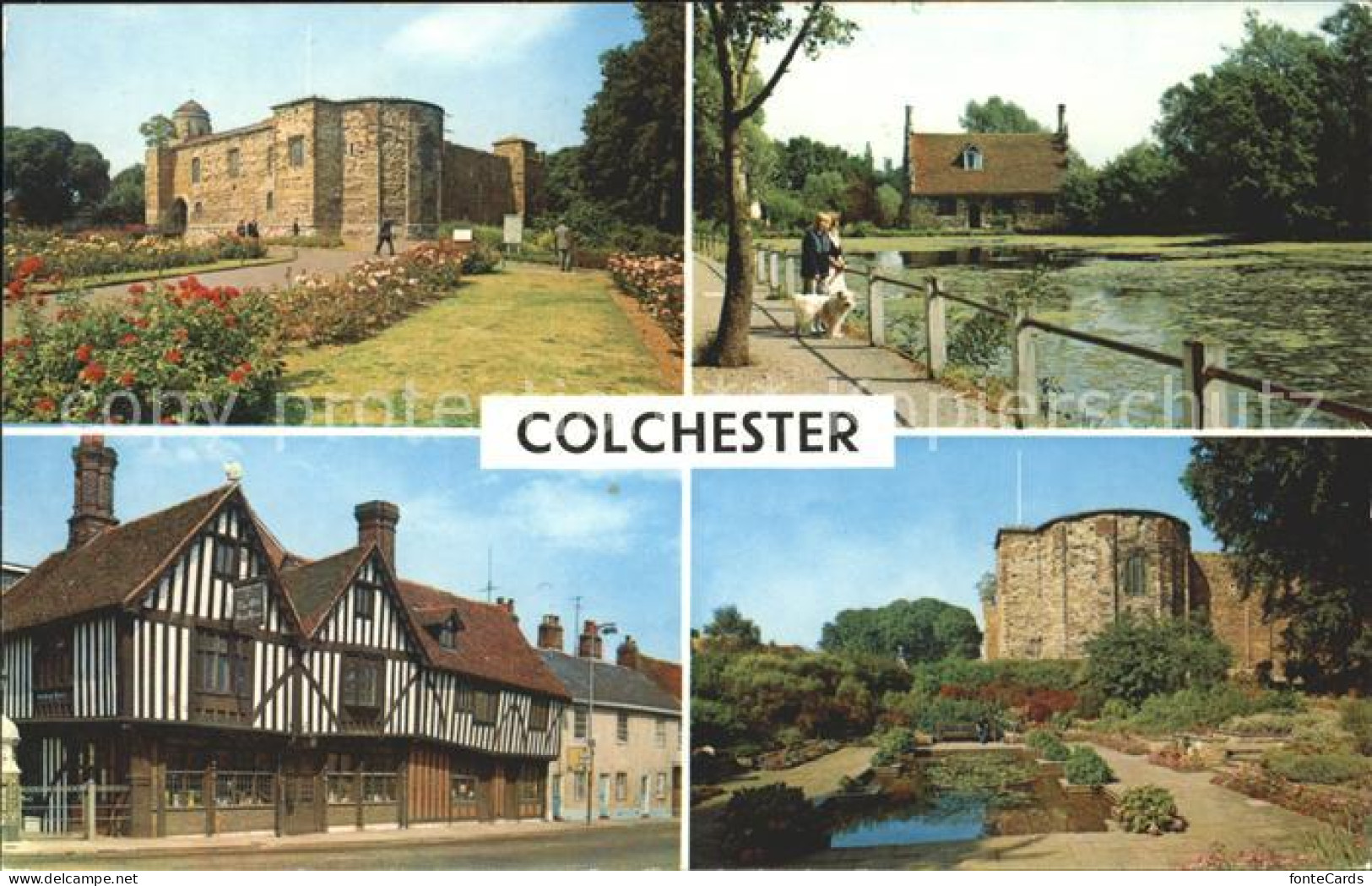 11750496 Colchester Castle Bourne Mill Old Siege House Lily Pond Colchester - Andere & Zonder Classificatie