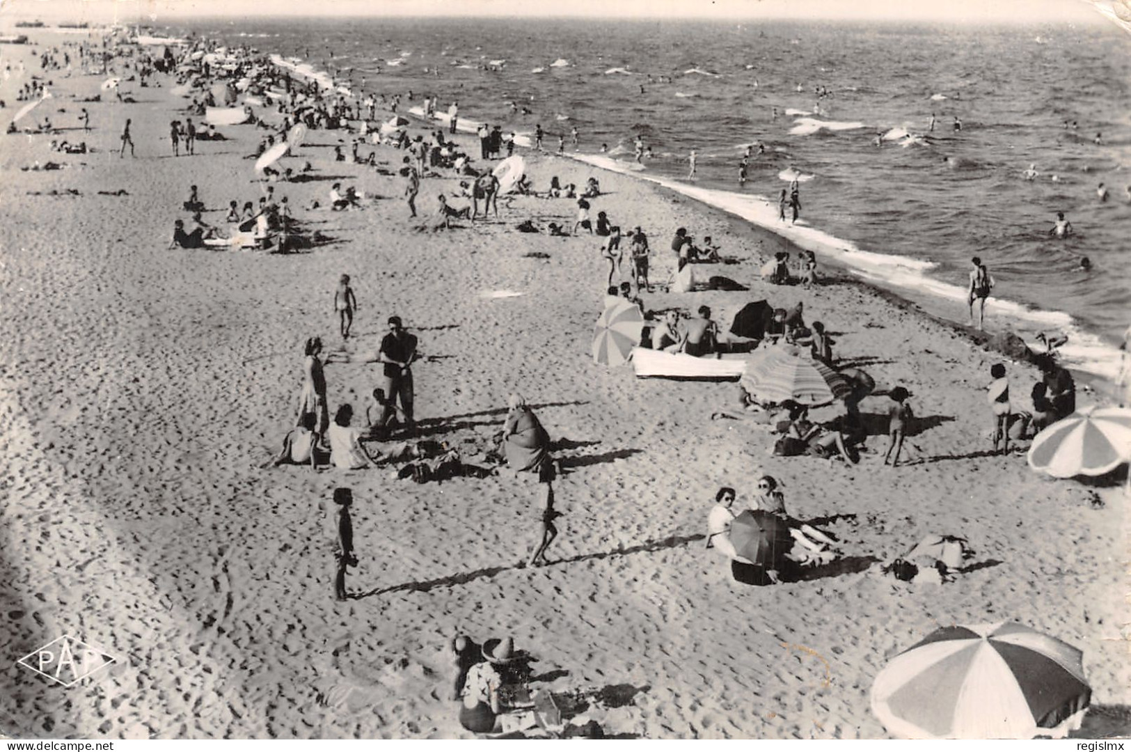 66-CANET PLAGE-N°2138-H/0259 - Canet Plage