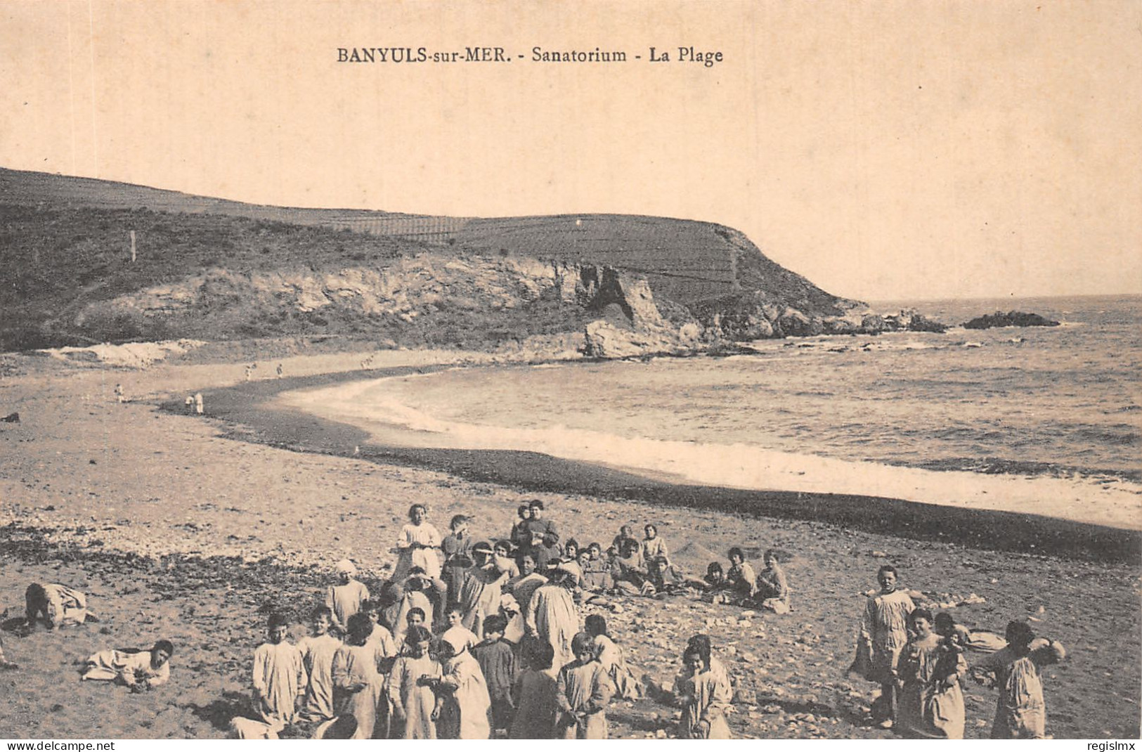 66-BANYULS SUR MER-N°2138-H/0177 - Banyuls Sur Mer