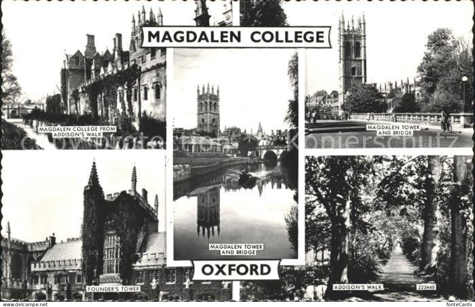 11750416 Oxford Oxfordshire Magdalen College Tower Bridge Addison's Walk  - Andere & Zonder Classificatie