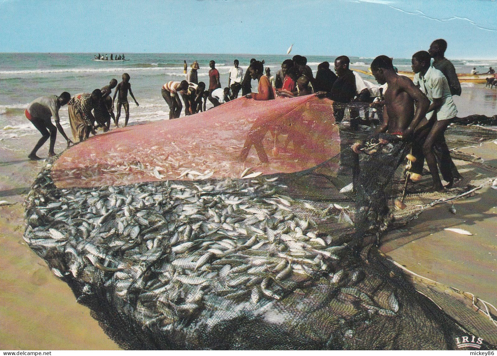 Pêche --1978-- Scène De Pêche En Côte D'Ivoire ( Très Animée )  éd Iris - Fischerei