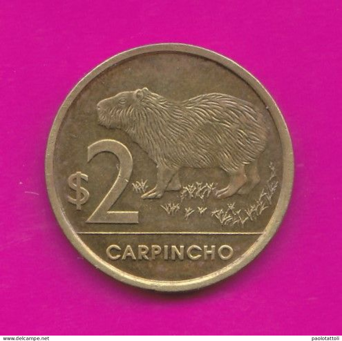 Uruguay, 2019- 2 Pesos. Fauna Of Uruguay- Brass Plated Steel- Obverse Coat Of Arms. Reverse Carpincho. - Uruguay