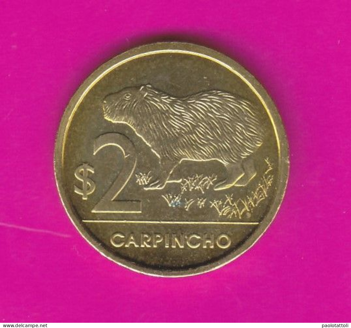 Uruguay, 2019- 2 Pesos. Fauna Of Uruguay- Brass Plated Steel- Obverse Coat Of Arms. Reverse Carpincho. - Uruguay