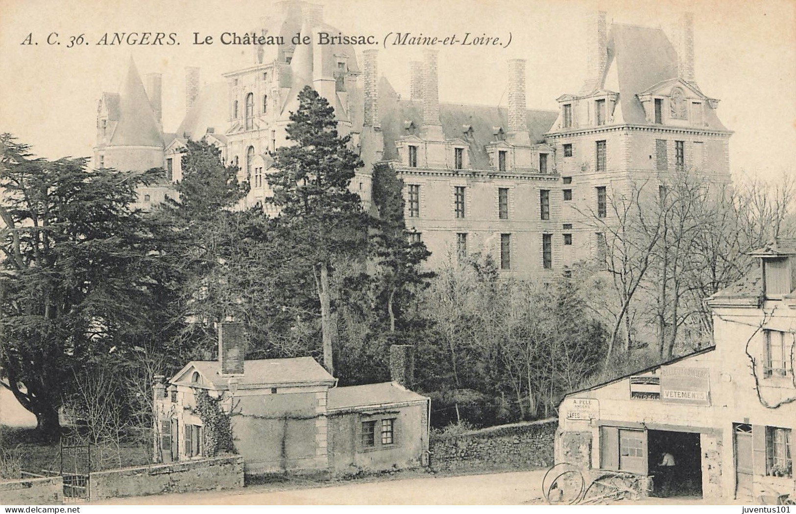 CPA Angers-Le Château De Brissac-36       L2892 - Angers