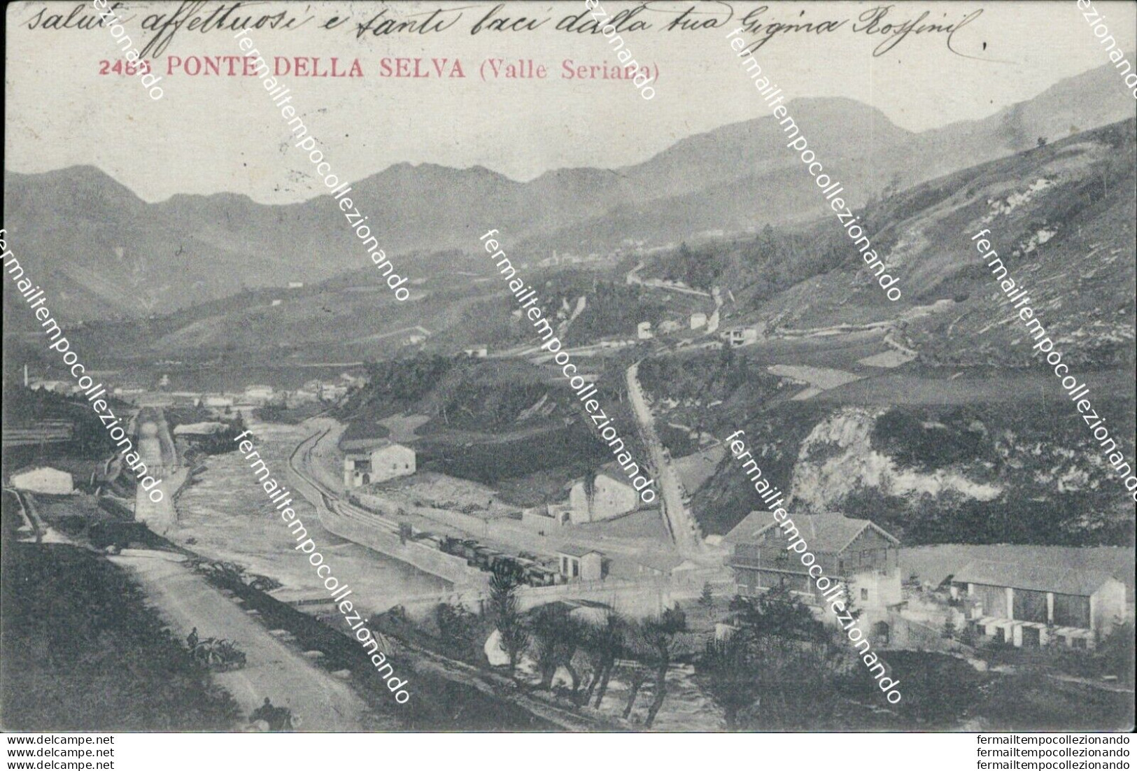 Bs364 Cartolina Ponte Della Selva Valle Seriana 1903 Bergamo  Lombardia - Bergamo