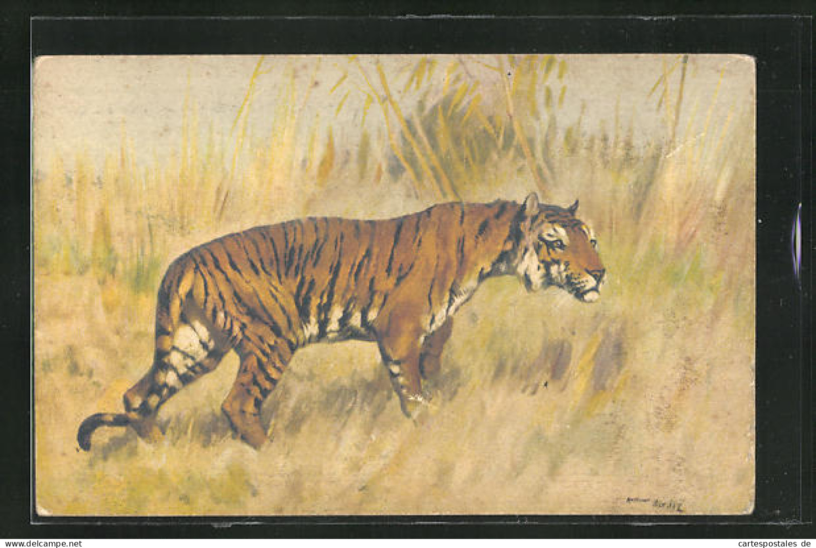 Künstler-AK Tiger In Natürlicher Umgebung  - Tigres