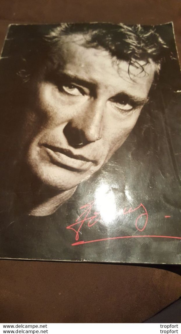 SUPERBE Programme JOHNNY HALLYDAY 1987 Star Chanson Chanteur Smeth - Programmes