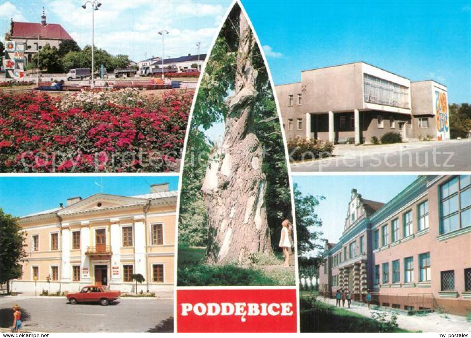 73597289 Poddebice Rynek Biblioteka Publiczna Fragment Parku Ze Stara Lipa Urzad - Pologne