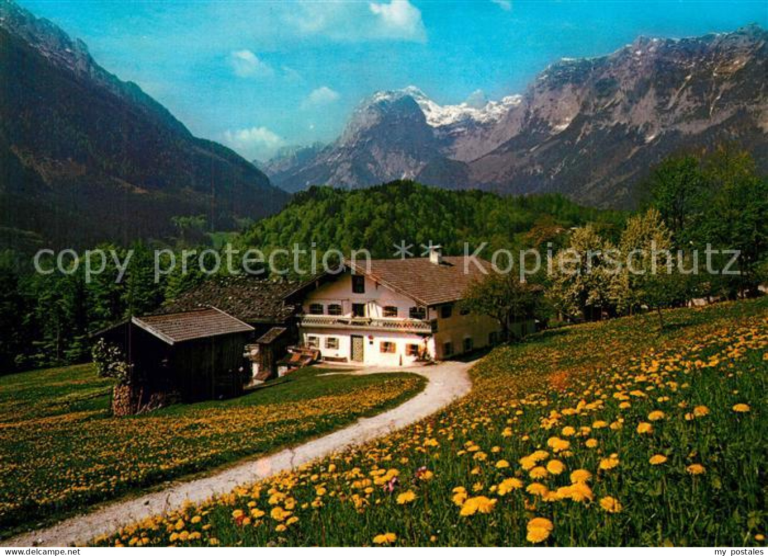 73597239 Berchtesgaden Fruehling Im Berchtesgadener Land  Berchtesgaden - Berchtesgaden