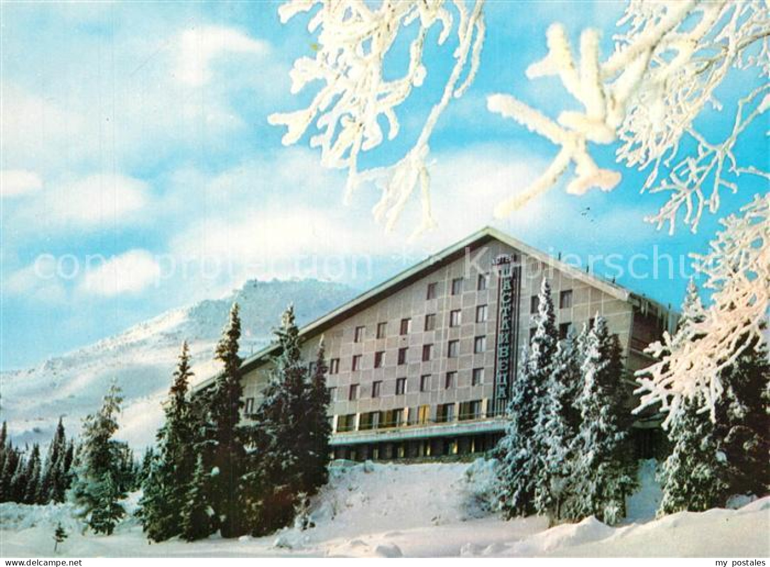 73597191 Vitocha Volkspark Wotischa Hotel Schtastliveza Winterlandschaft Vitocha - Bulgarie