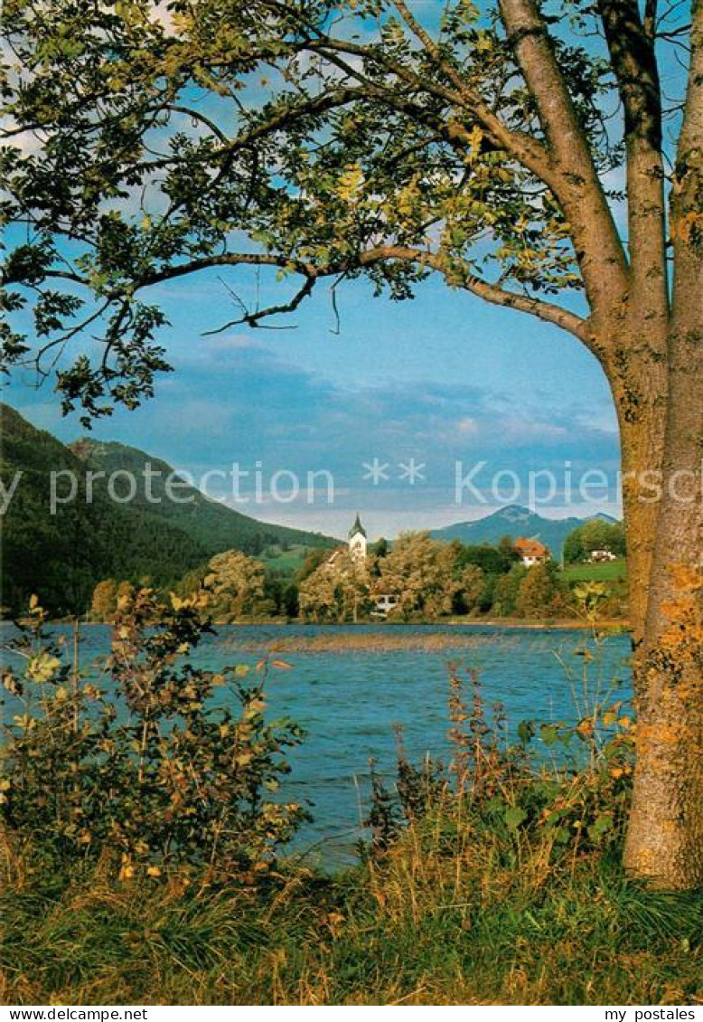 73596706 Weissensee Fuessen Panorama Weissensee Fuessen - Fuessen