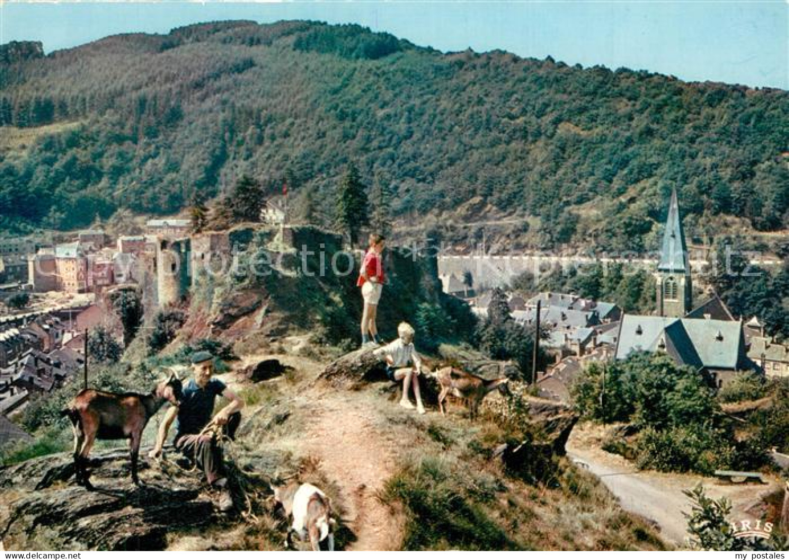 73595864 La Roche-en-Ardenne Le Dester Ruines Du Chateau La Roche-en-Ardenne - Sonstige & Ohne Zuordnung