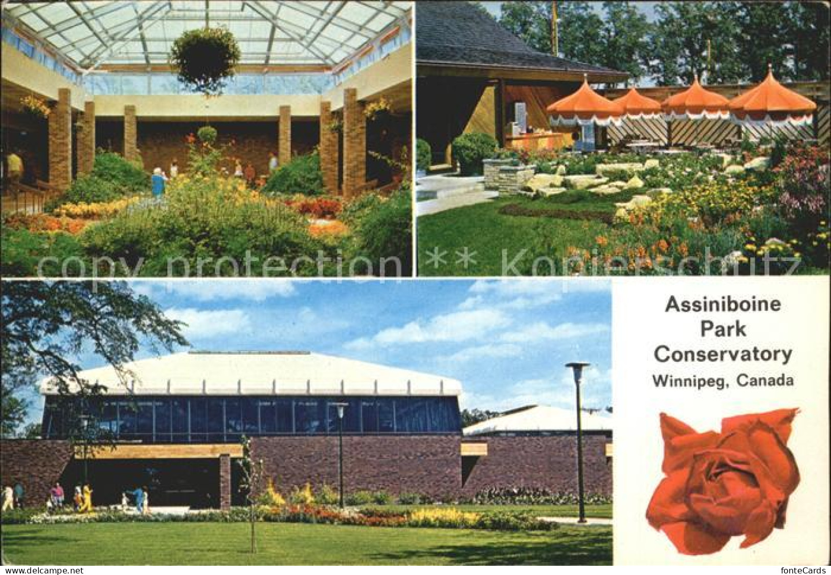 71935328 Winnipeg Assiniboine Park Conservatory  Winnipeg - Ohne Zuordnung
