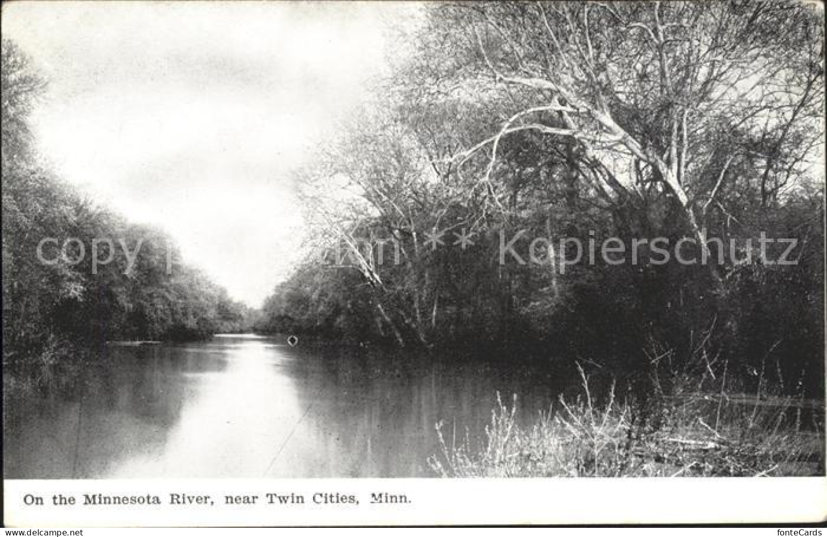 71913907 Twin_Cities River - Other & Unclassified