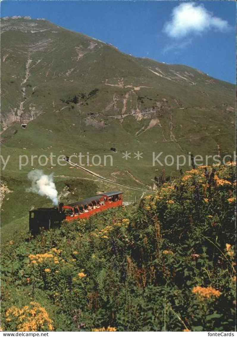 12023895 Brienz-Rothornbahn  Brienz-Rothornbahn - Autres & Non Classés