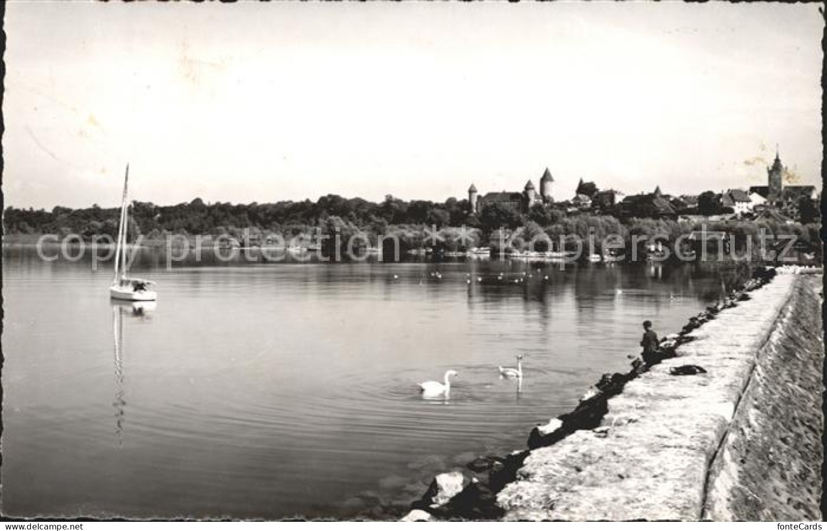 12015025 Estavayer-le-Lac Uferpartie Am Neuenburgersee Segelboot Schwaene Estava - Autres & Non Classés