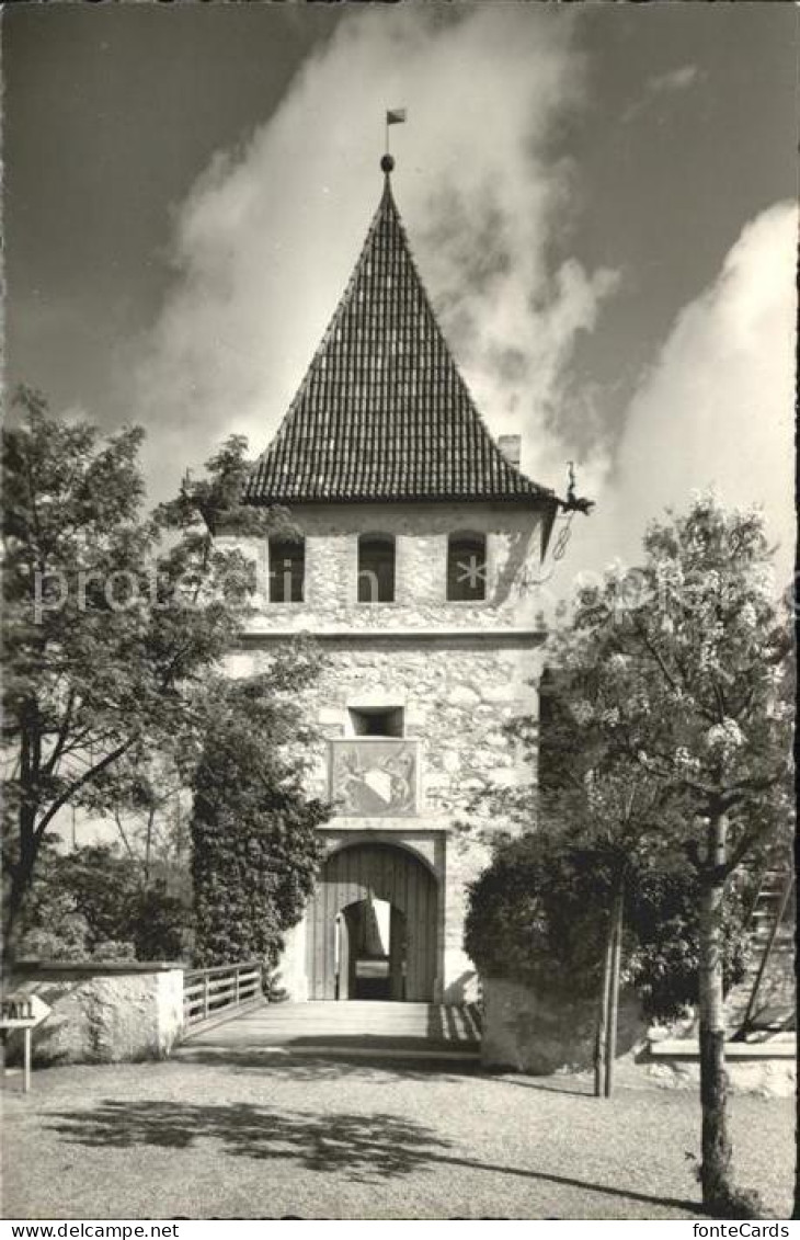 11995455 Laufen BL Schloss Laufen Am Rheinfall Laufen - Autres & Non Classés