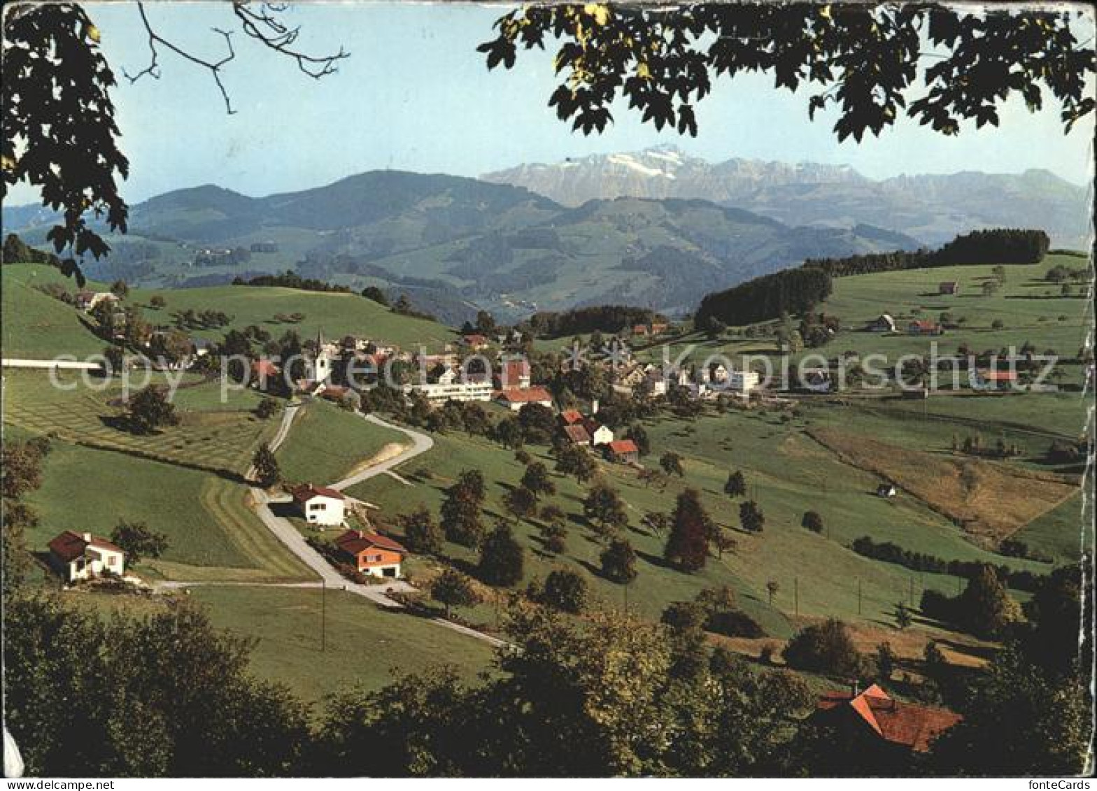 11911515 Oberhelfenschwil Mit Saentis Oberhelfenschwil - Otros & Sin Clasificación