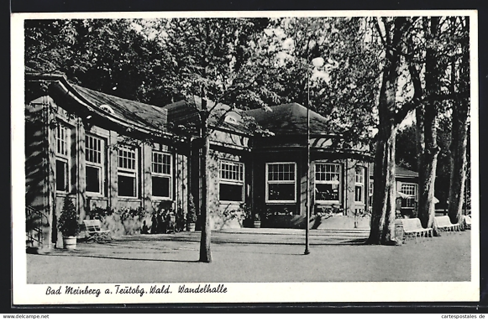 AK Bad Meinberg A. Teutobg. Wald, Wandelhalle Mit Bänken  - Bad Meinberg