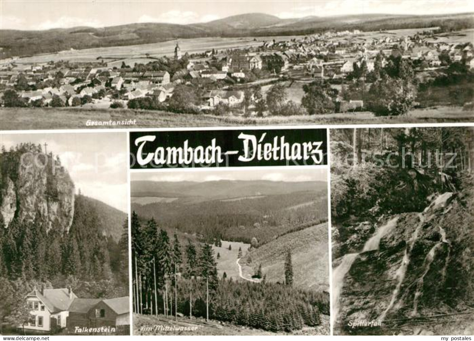 73593445 Tambach-Dietharz Gesamtansicht Falkenstein Felsen Landschaftspanorama M - Tambach-Dietharz