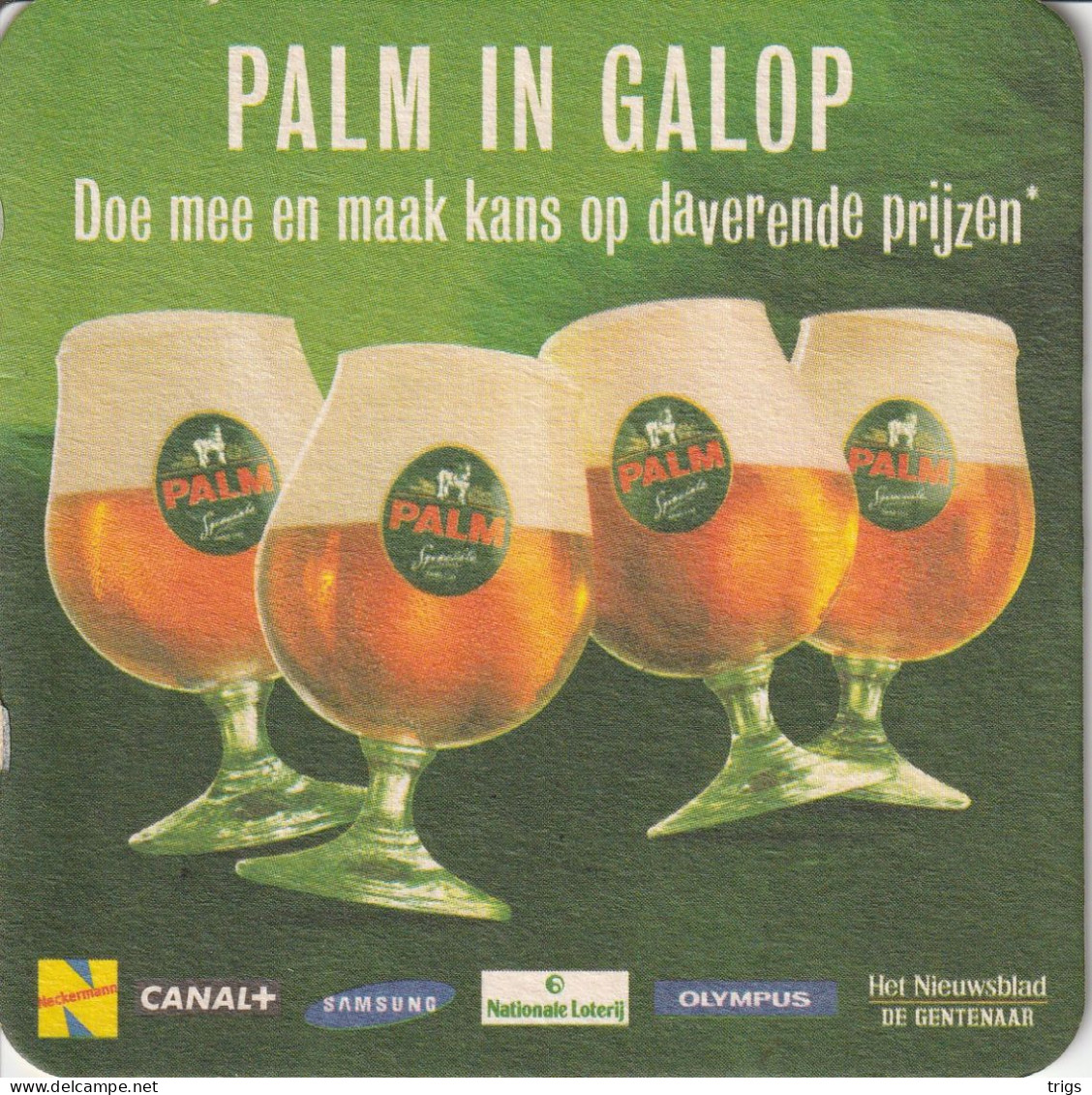 Palm - Bierviltjes