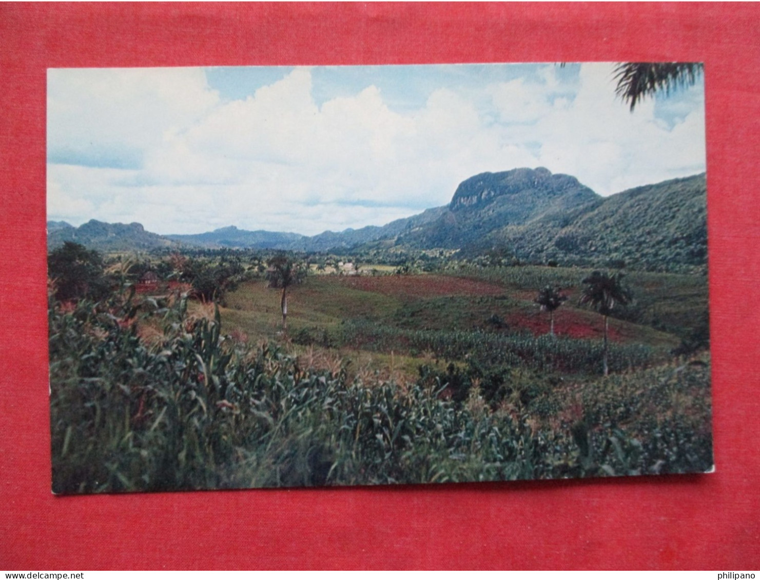 Pinar Del Rio Country Side  Cuba  Ref 6399 - Kuba