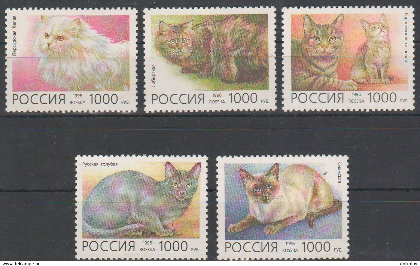 1996 478 Russia Domestic Cats MNH - Nuevos