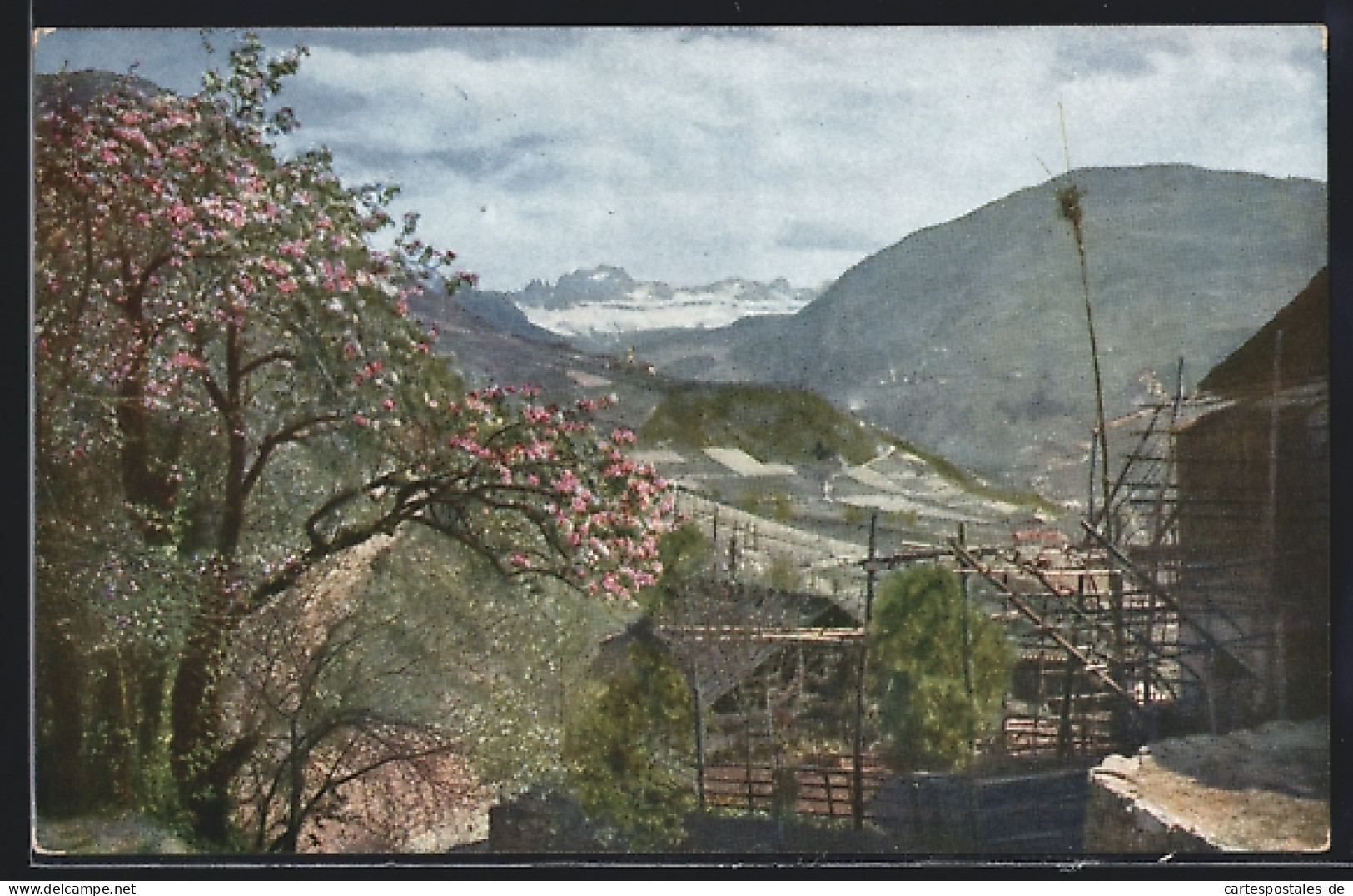 Cartolina St. Magdalena Bei Bozen, Motiv Gegen Den Rosengarten  - Bolzano (Bozen)